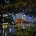 member face