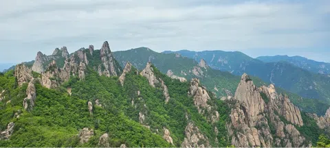 모임 대표 이미지