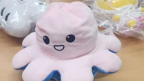 정모 대표 이미지