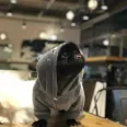 member face