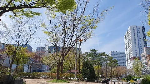 정모 대표 이미지