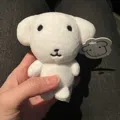 member face