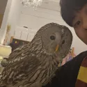 member face