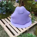 member face
