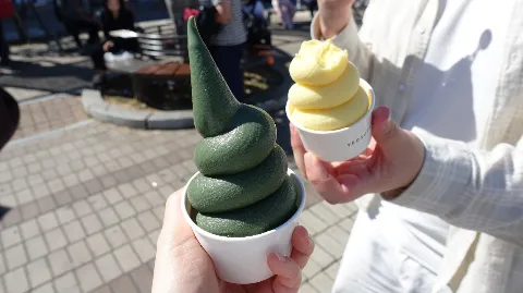 정모 대표 이미지