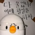 member face
