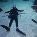 member face