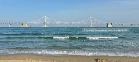 모임 대표 이미지