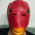 member face
