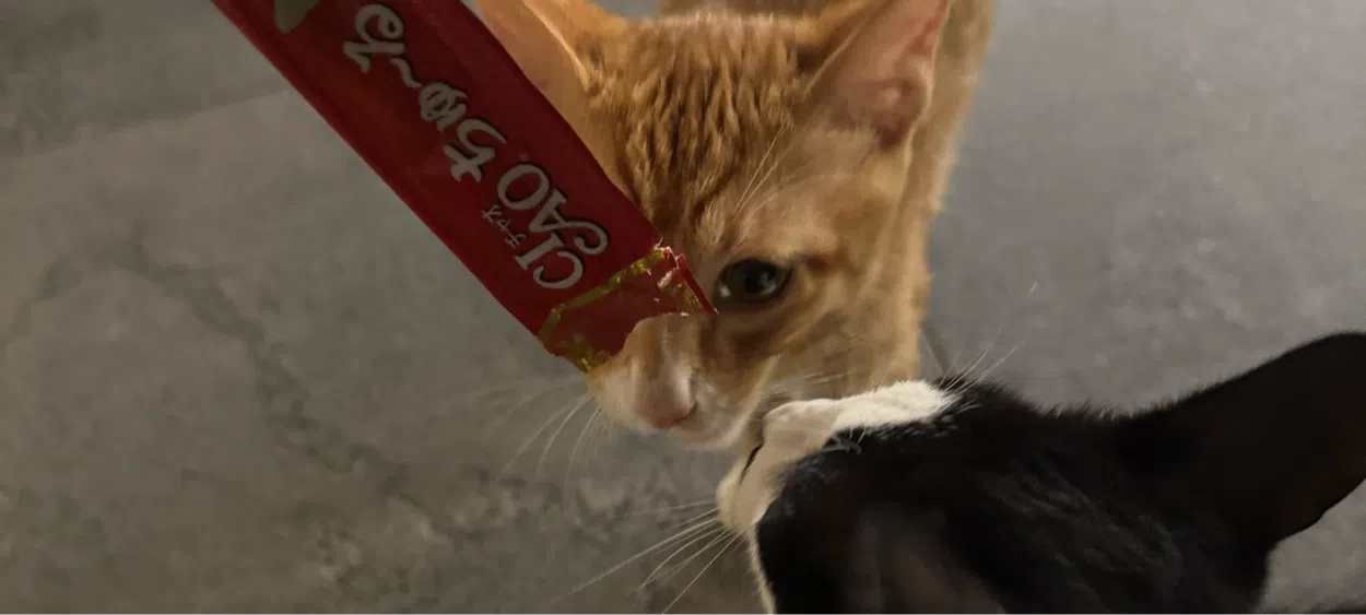 모임 이미지 1