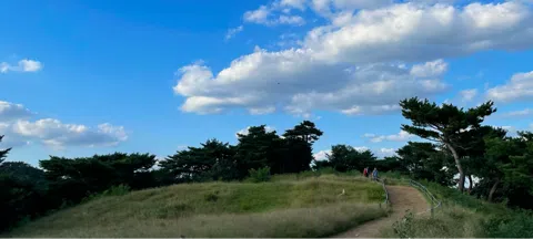 모임 대표 이미지