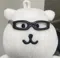member face