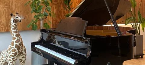 모임 대표 이미지