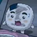 member face