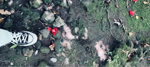 모임 대표 이미지