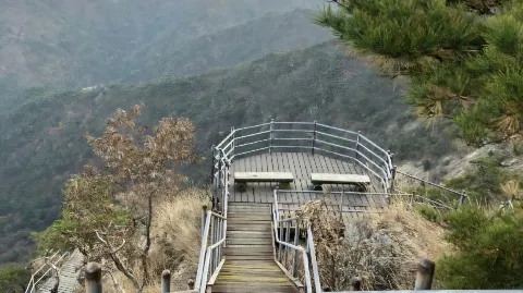 정모 대표 이미지