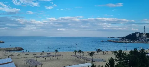 모임 대표 이미지