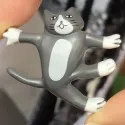 member face