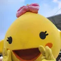 member face