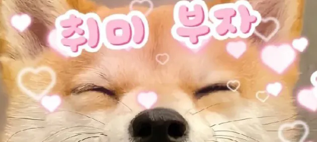 모임 이미지 1