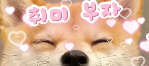 모임 대표 이미지