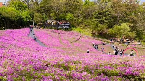 정모 대표 이미지