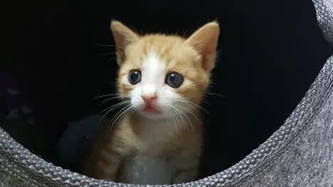 정모 대표 이미지