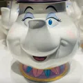 member face