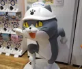 member face