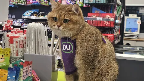 정모 대표 이미지