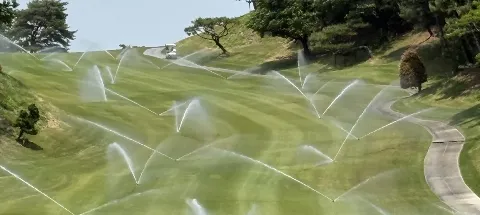 모임 대표 이미지