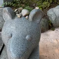 member face