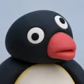 member face