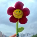 member face