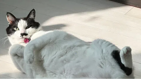 정모 대표 이미지