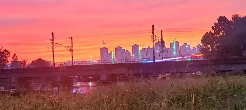 모임 대표 이미지