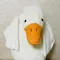member face