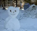 member face