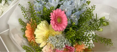 모임 대표 이미지