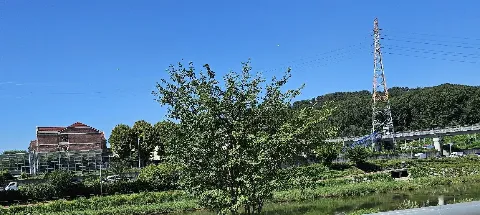 모임 대표 이미지