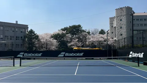 정모 대표 이미지