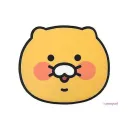 member face
