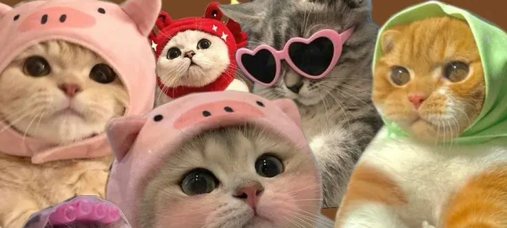 모임 이미지 1