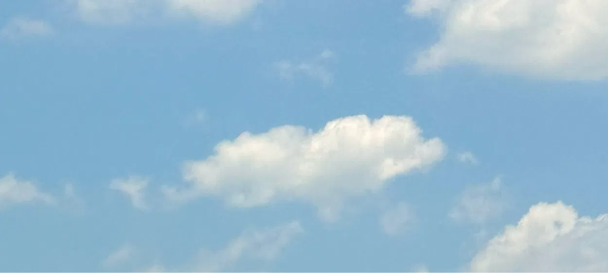 모임 이미지 1