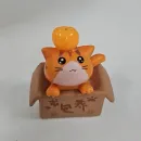 member face