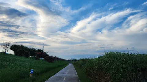 정모 대표 이미지
