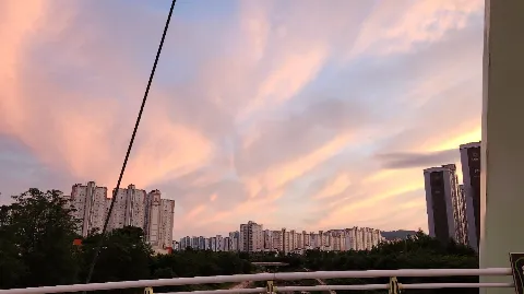 정모 대표 이미지