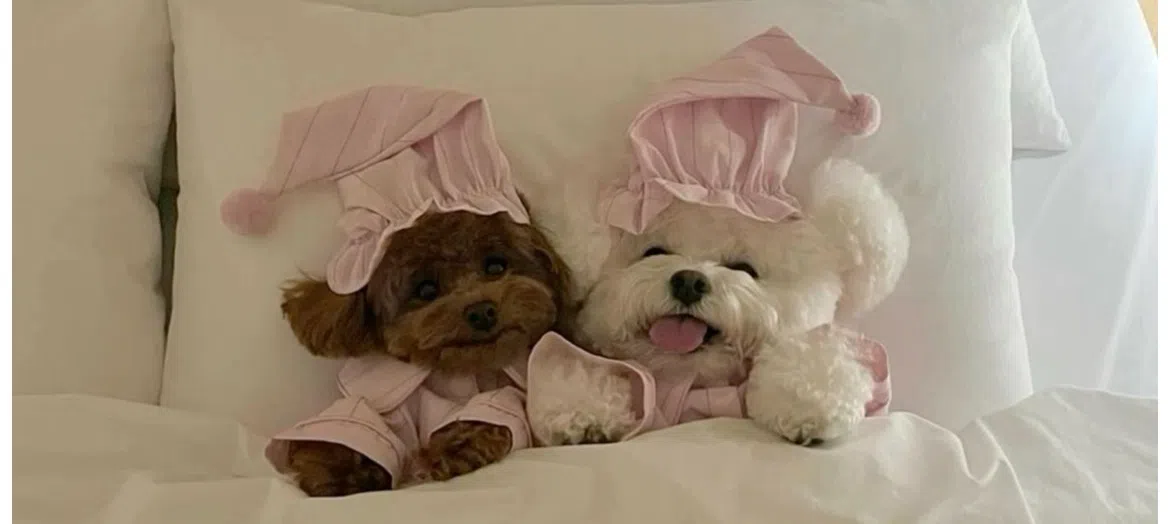 모임 이미지 1