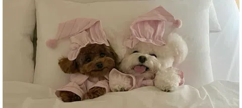 모임 대표 이미지