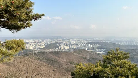 정모 대표 이미지